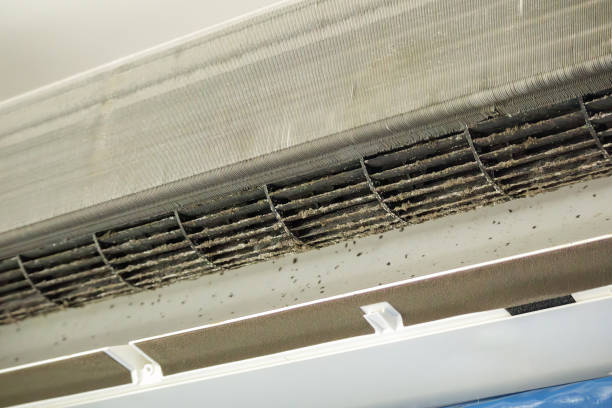 Best Ventilation Cleaning Services  in Riverbend, WA